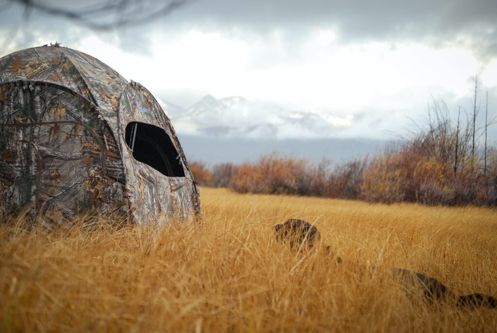 Duck hunting blind with hunting dog